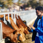 Expert Farm Guidance Navigating Success in Zimbabwean Livestock Farming